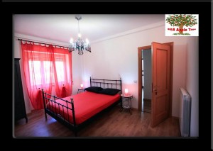 Apple tree Valmontone