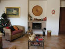 I Gatti del Castello